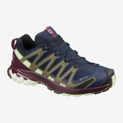 SALOMON XA PRO 3D V8 GTX para mujer